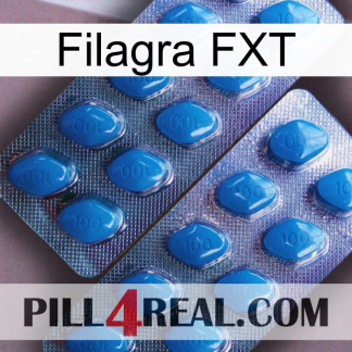 Filagra FXT viagra2